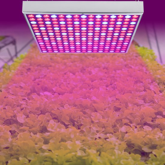 LED Groeilamp 45W Full Spectrum | 225 LEDs | Kweeklamp Groei & Bloei | 30x30cm Binnen