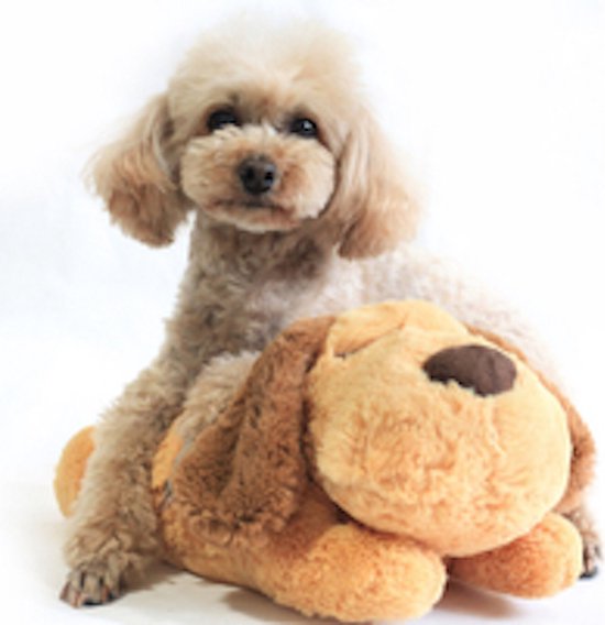 Hartslagknuffel Puppy & Kitten | Snuggle Heart Beat | Verlatingsangst | Pluche Knuffel