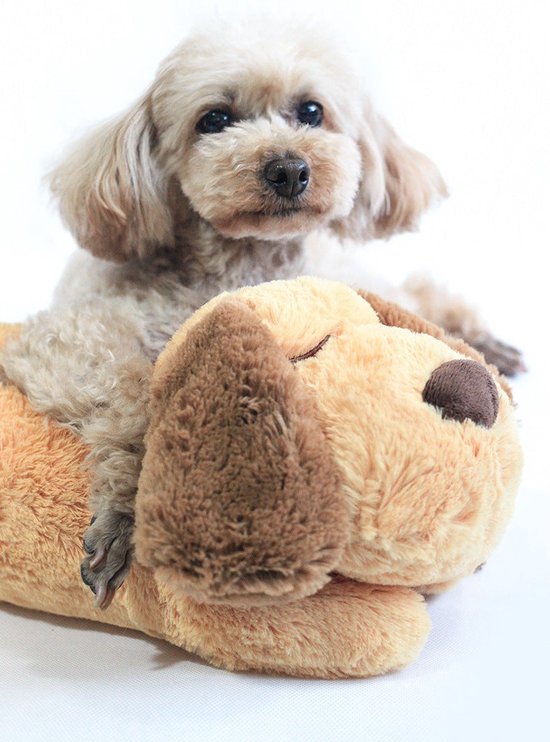 Hartslagknuffel Puppy & Kitten | Snuggle Heart Beat | Verlatingsangst | Pluche Knuffel